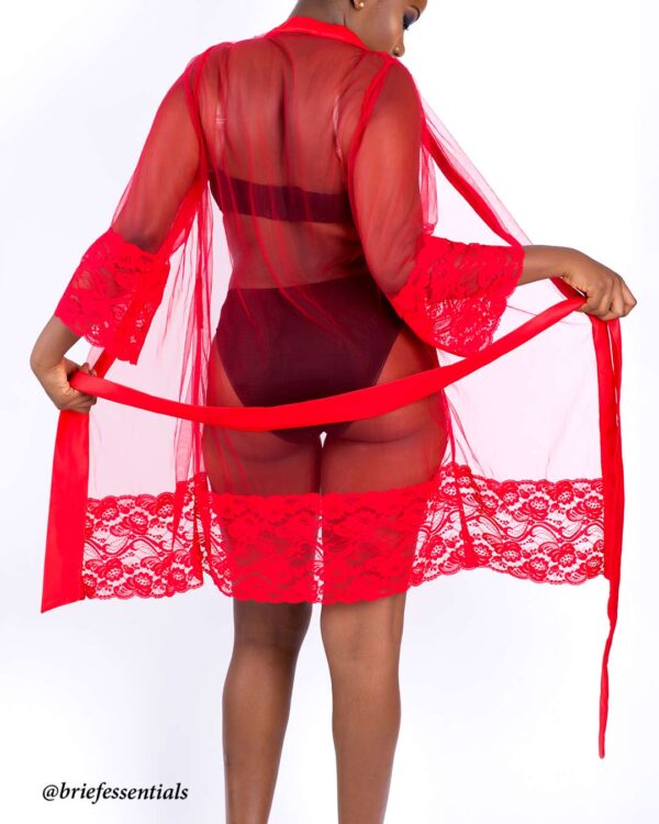 BE Signature Lace and Sheer Short Robe