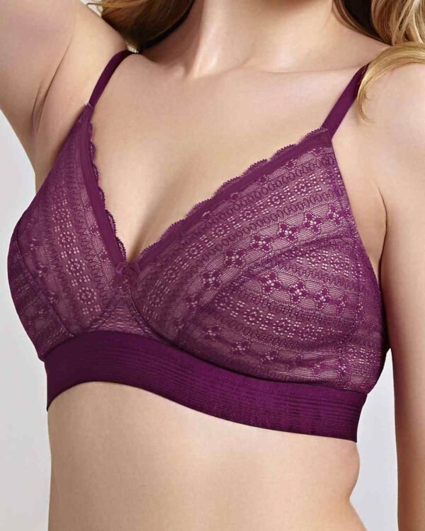 Panache Lyzy Wireless Triangle Bra, wine