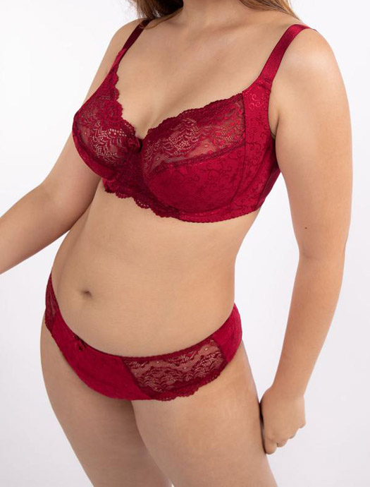 DORINA  Philippa Jacquard & Lace Brief, Red