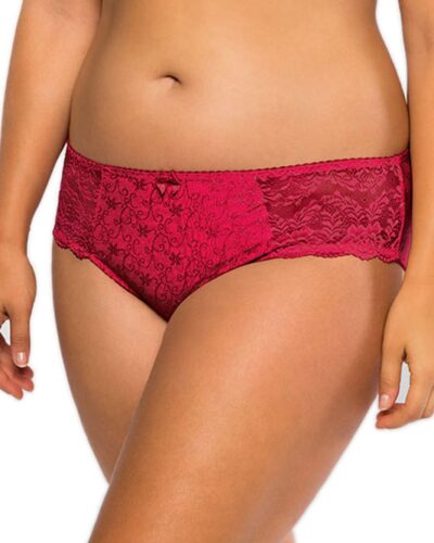 DORINA Philippa Jacquard & Lace Brief, Red