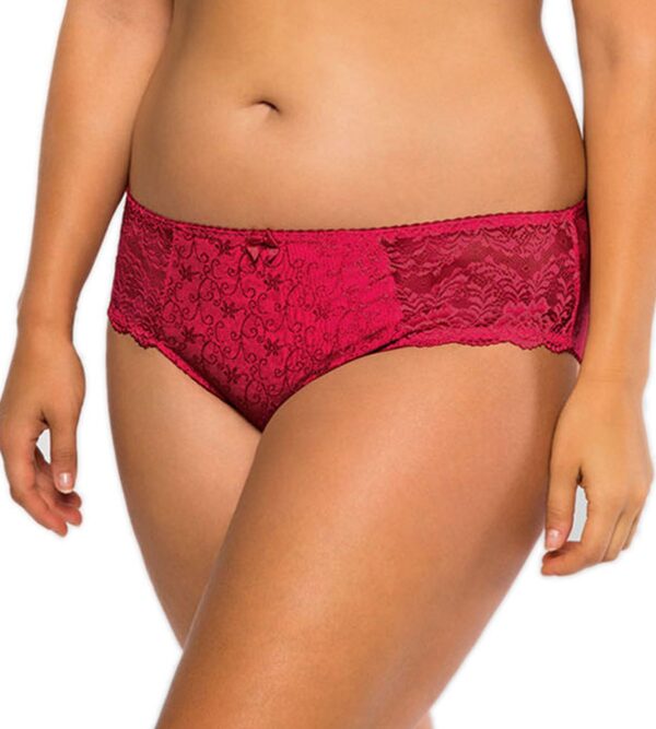 DORINA  Philippa Jacquard & Lace Brief, Red