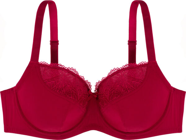 DORINA Curves Faith Pack of 2 Unlined Wire Bras, Black/Red