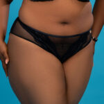 Dorina Icon Luxury Cheeky Lace Hipster