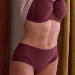 Panache Serene Deep Brief, Dark Cherry