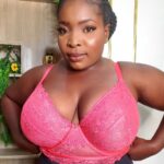 Panache Selena Longline Plunge Bra, Paradise Pink