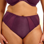 Elomi Kintai Full Brief, Blackberry