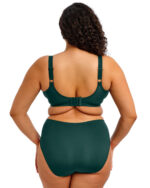 Elomi Smooth Molded Bra, Deep Emerald - Image 2