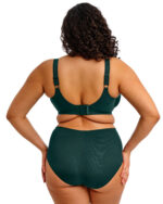 Elomi Cate Allure Full Cup Banded Bra, Deep Emerald - Image 2
