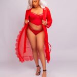 Nuit & Lace Eyelash Lace Sheer Long Robe, Red