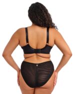 Elomi Teagan High Leg Brief, Rainbow - Image 2