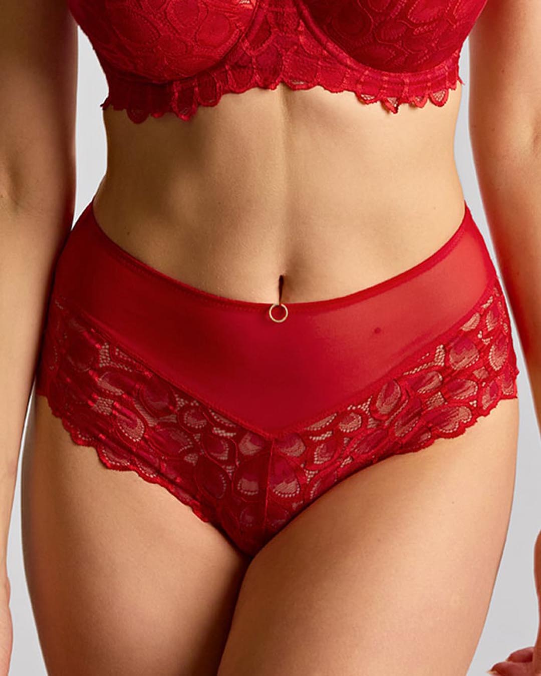 Panache Allure Deep Brief, True Red (2) Panache Allure Deep Brief, True Red - Image 1