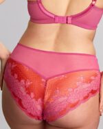 Panache Clara Deep Brief, Pink Papaya - Image 2