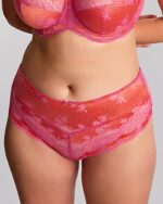 Panache Clara Deep Brief, Pink Papaya - Image 3