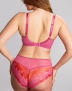 Panache Clara Full Cup Bra, Pink Papaya - Image 4