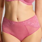 Panache Envy Deep Brief, Fuchsia