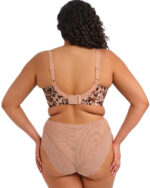 Elomi Lucie Side Support Stretch Plunge Bra, Wildcat - Image 3