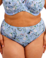 Goddess Kayla Brief, Cornflower